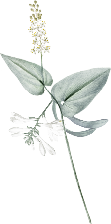 hair-flower-4